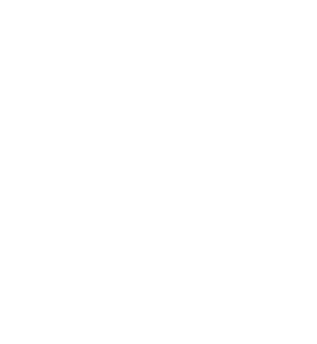 Total-Executive-Security-Advisor